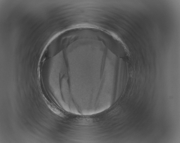 X0000080691372200701121714