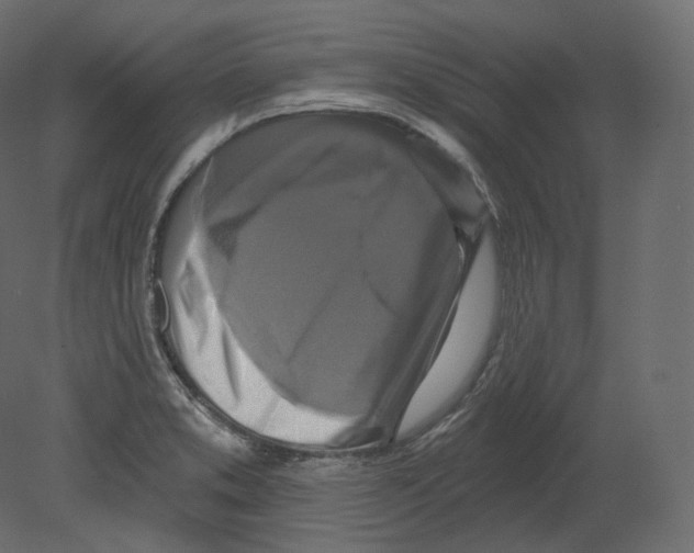 X0000080691373200701121714