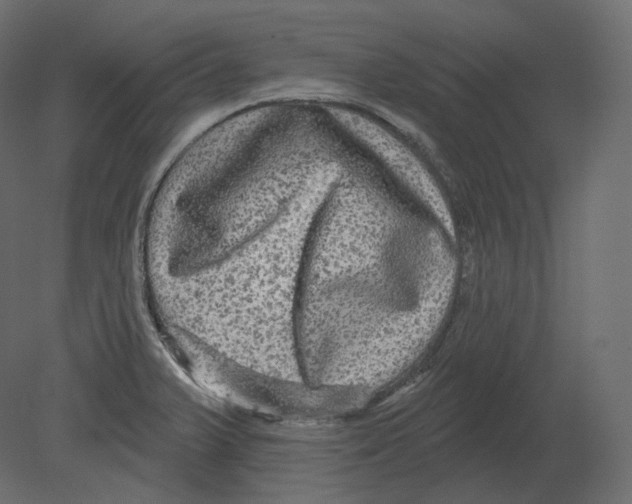 X0000080691375200701121714