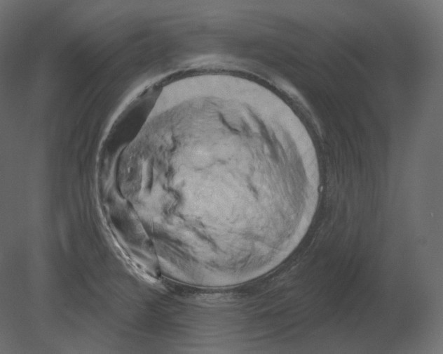 X0000080691376200701121714