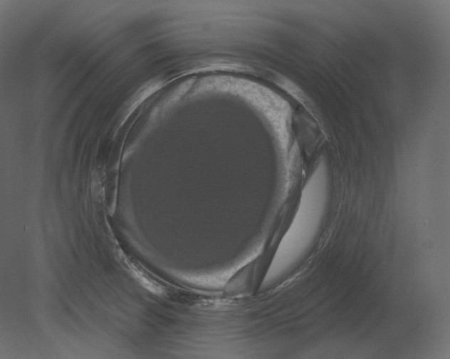 X0000080691377200701121714