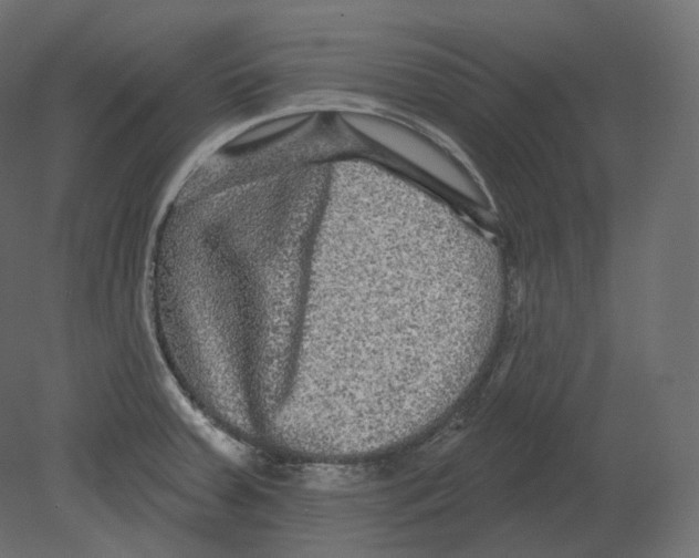 X0000080691379200701121714