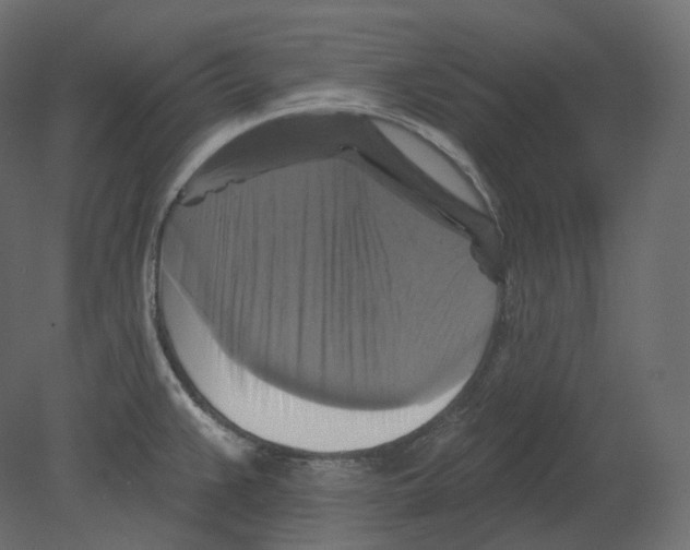 X0000080691383200701121714