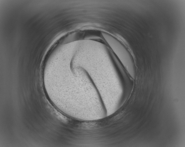 X0000080691384200701121714