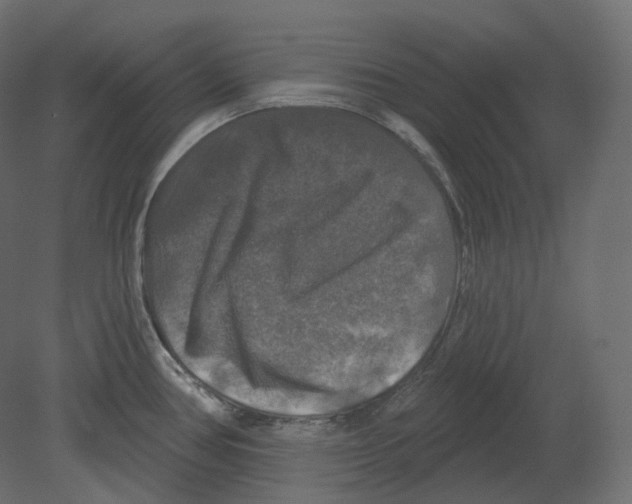 X0000080691386200701121713