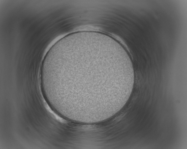 X0000080691387200701121713