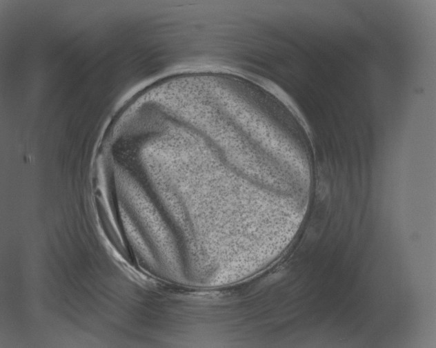 X0000080691388200701121713