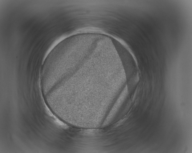 X0000080691390200701121713