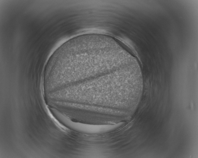 X0000080691391200701121713