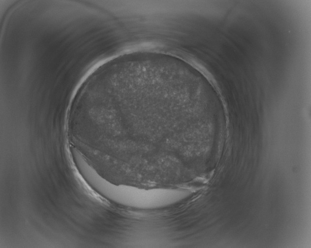 X0000080691392200701121713