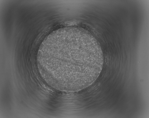 X0000080691393200701121713