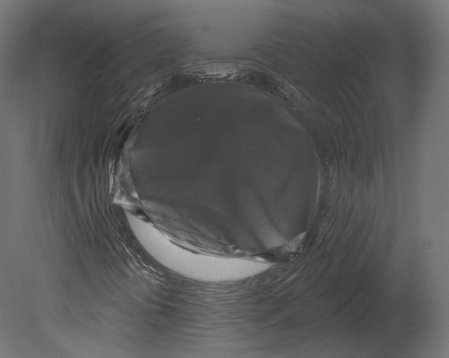 X0000080691394200701121713