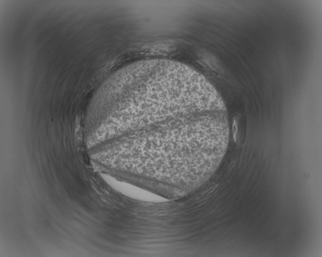 X0000080691395200701121713