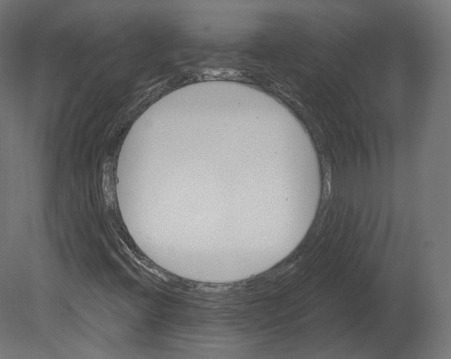 X0000080691396200701121713