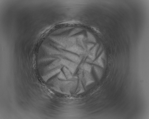 X0000080691398200701121713