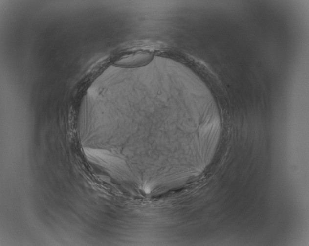 X0000080691399200701121713