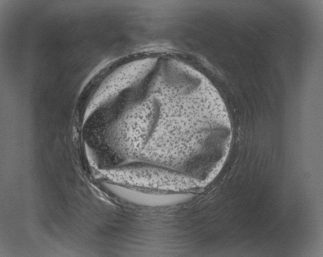 X0000080691400200701121713