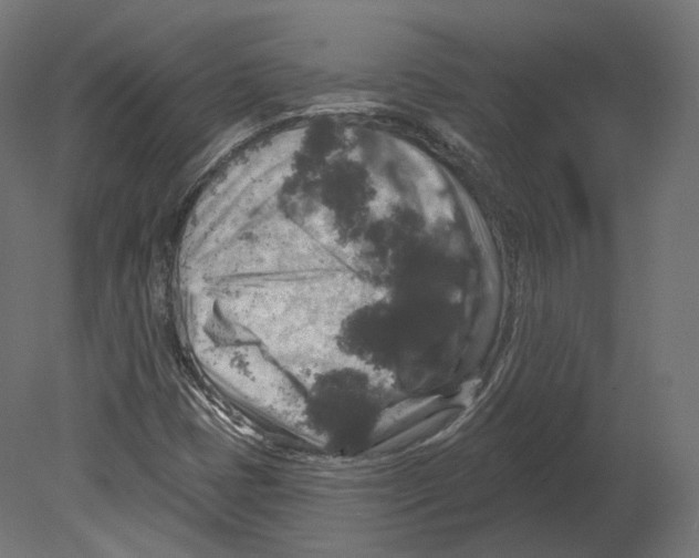 X0000080691401200701121713