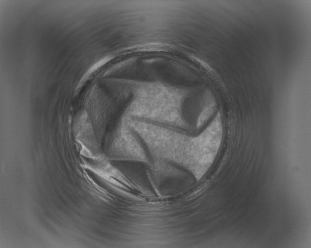 X0000080691402200701121713