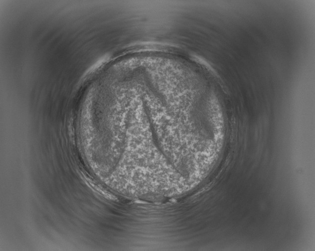 X0000080691403200701121713