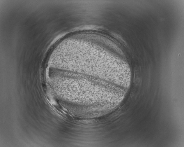 X0000080691404200701121713