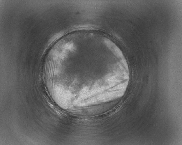 X0000080691405200701121713