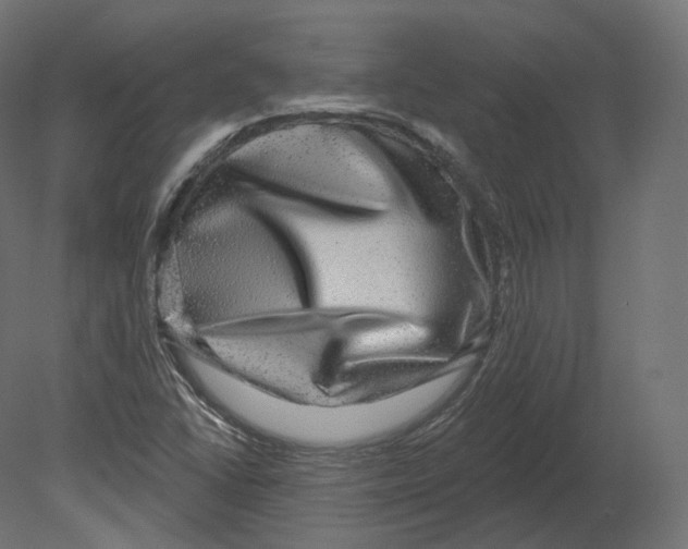 X0000080691406200701121713