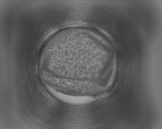 X0000080691407200701121713