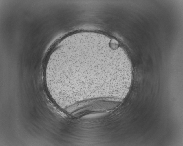 X0000080691408200701121713