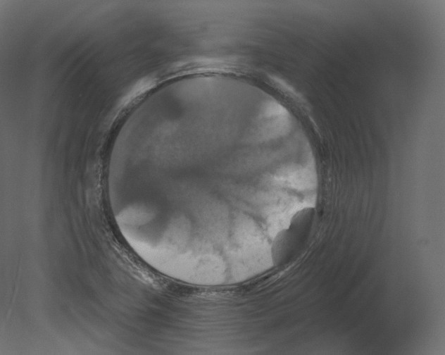 X0000080691411200701121713