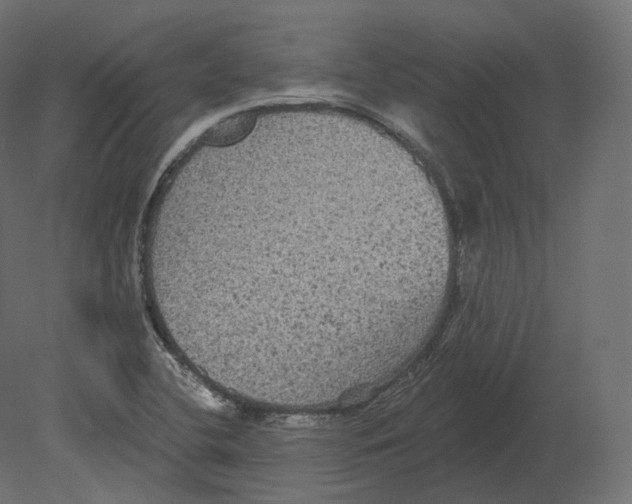 X0000080691412200701121713