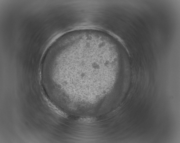 X0000080691415200701121713