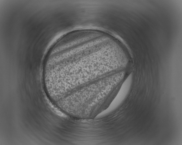 X0000080691416200701121713