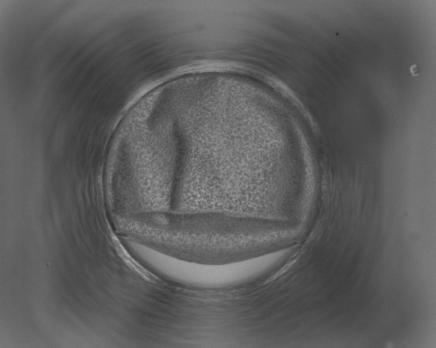 X0000080691417200701121713