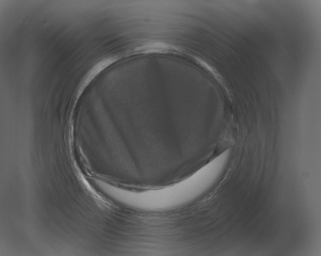 X0000080691418200701121713