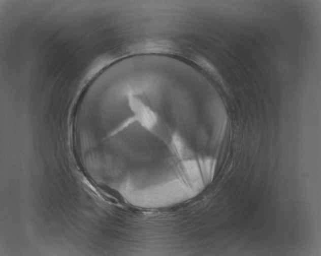 X0000080691419200701121713