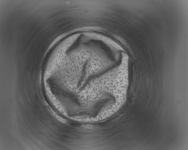 X0000080691420200701121713