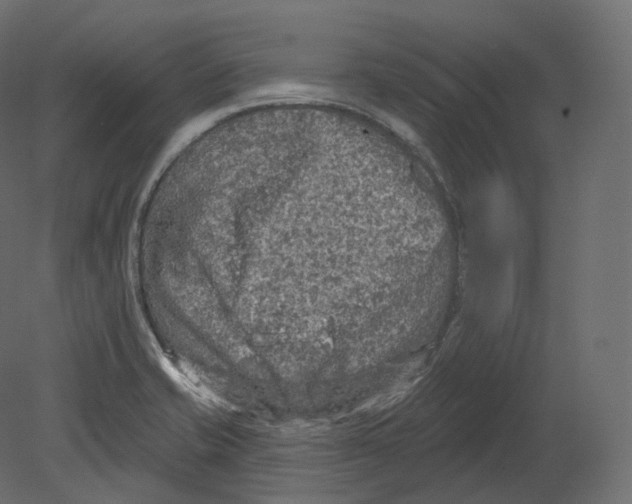 X0000080691421200701121713