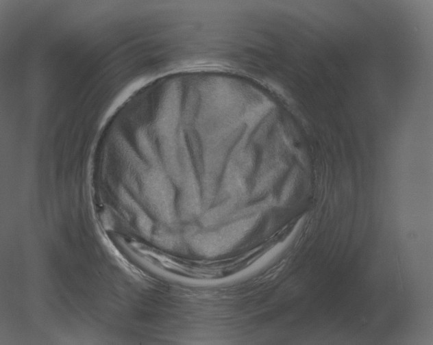 X0000080691422200701121713