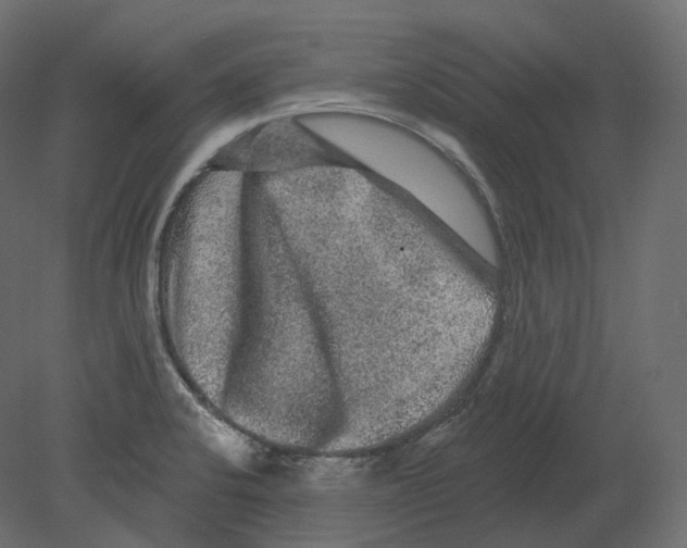 X0000080691424200701121713