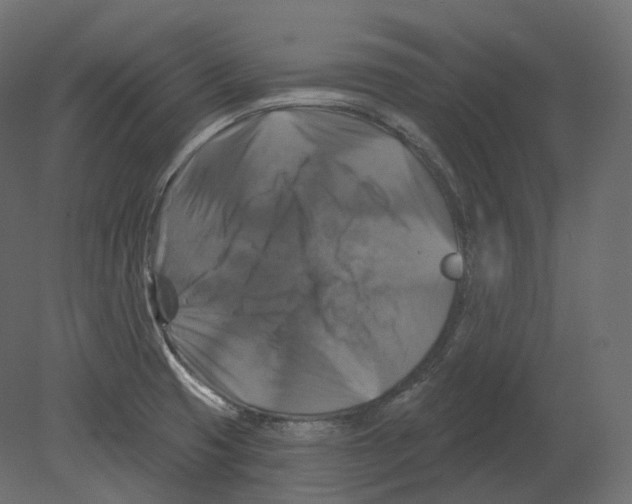 X0000080691425200701121713