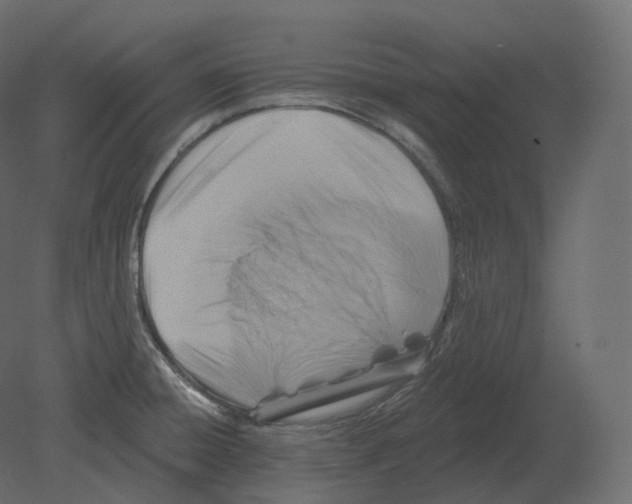 X0000080691428200701121713