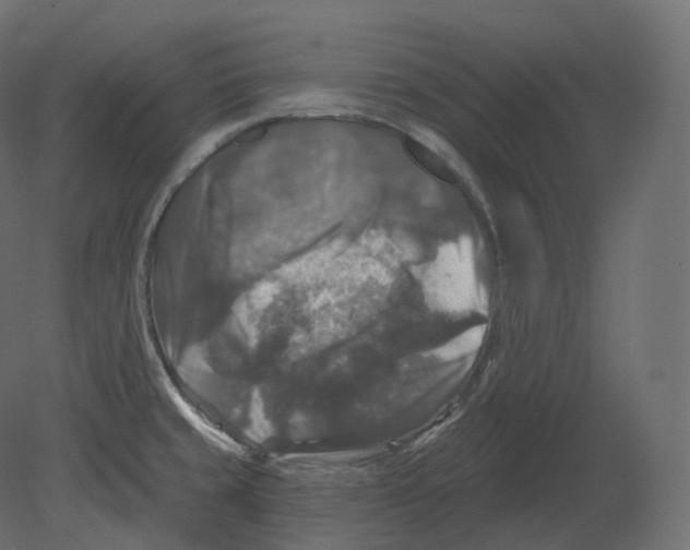 X0000080691429200701121713