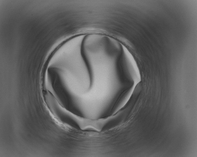 X0000080691430200701121713