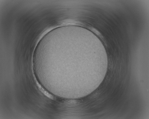 X0000080691431200701121713