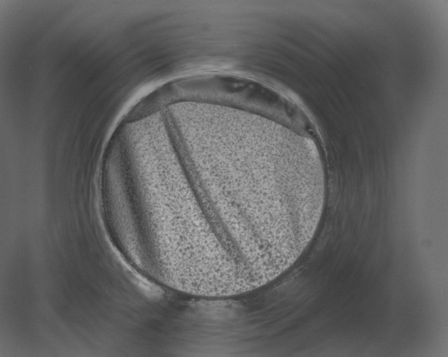 X0000080691432200701121713