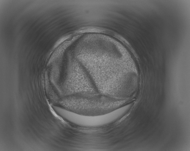 X0000080691433200701121713