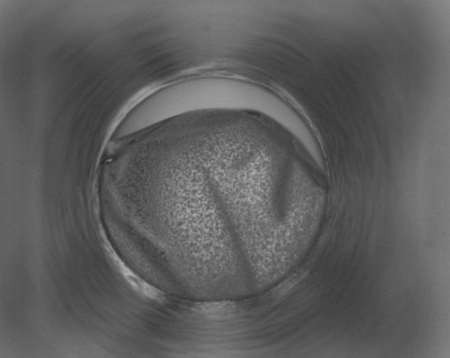 X0000080691434200701121713