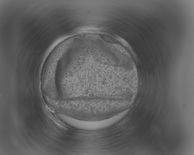 X0000080691435200701121713