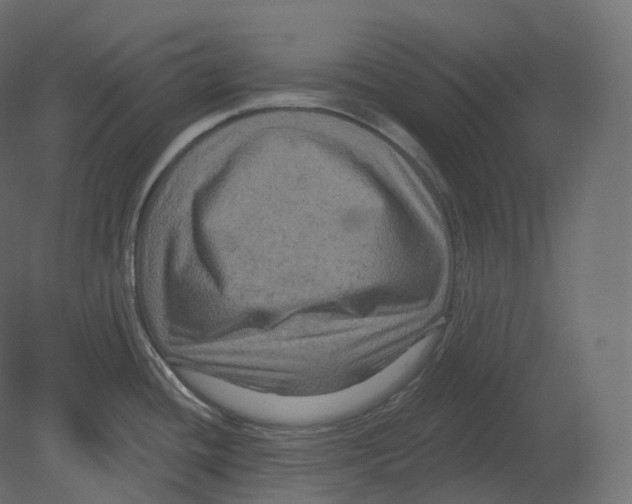 X0000080691436200701121713